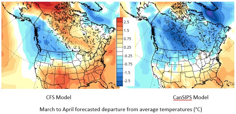 These maps show the forecast departure from average temperatures for the March-to-May period from the CFS and CanSIPS models. The CanSIPS model shows the coldest relative temperatures for this period centred nearly overtop of us, while the CFS model has the colder air displaced farther west, placing us in near- to just slightly below-average conditions.