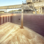 “We ended up overall with a very high-quality crop with high protein levels. ” – Derek Bunkowsky.