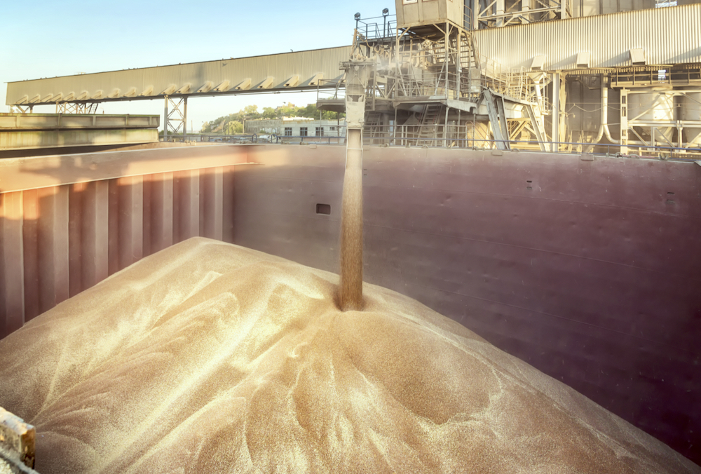 “We ended up overall with a very high-quality crop with high protein levels. ” – Derek Bunkowsky.