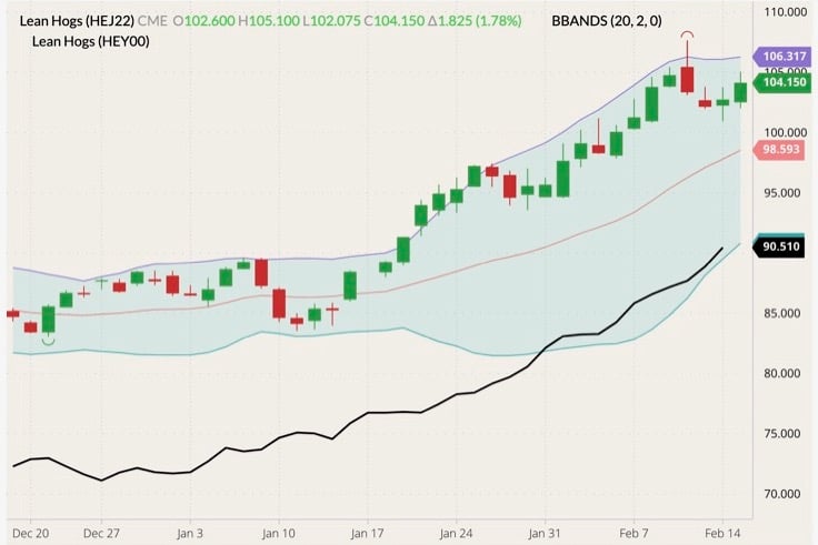 CME April 2022 lean hogs (candlesticks) with Bollinger bands (20,2) and CME lean hog index (black line). (Barchart)
