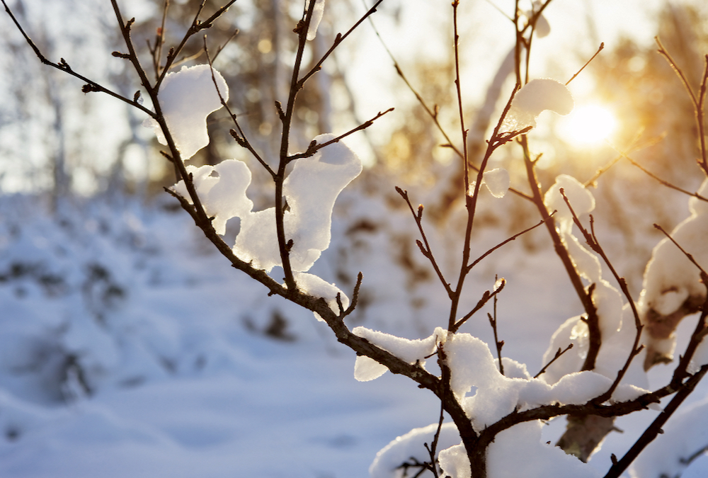 Much of agricultural Manitoba booked about 14 days with measurable snow in January 2022, up slightly from the average of 11 days for the month.