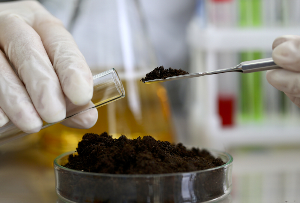 Soil biology is garnering more attention as crop input costs rise.