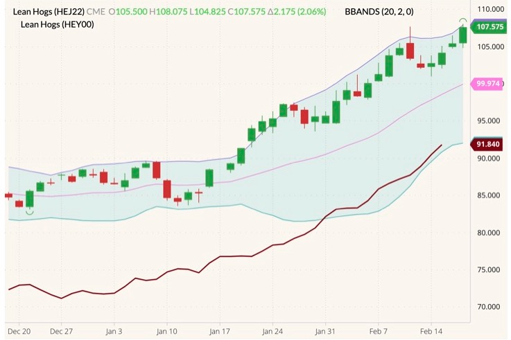 CME April 2022 lean hogs (candlesticks) with Bollinger bands (20,2) and CME lean hog index (dark red line). (Barchart)
