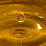 Drop of vegetable oil
