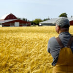 Manitoba Crop Alliance still focused on research to serve farmers