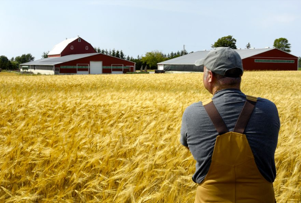 Manitoba Crop Alliance still focused on research to serve farmers