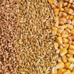 (Photo courtesy Canada Beef Inc.)
