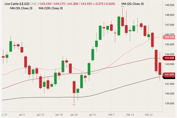 CME April 2022 live cattle (candlesticks) with 20-, 50- and 100-day moving averages (pink, dark red and black lines). (Barchart)
