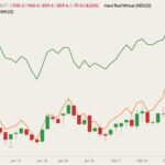 CBOT May 2022 wheat (candlesticks) with K.C. May 2022 wheat (orange line) and MGEX May 2022 wheat (dark green line). (Barchart)
