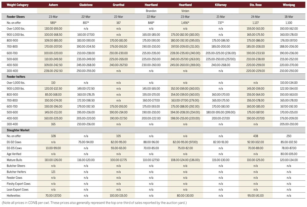 Higher prices should preface spring cattle slowdown 