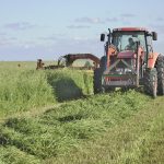 Manitoba producers now have new options to insure multi-species forage mixes.