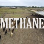A still from a New York Times video that suggests modern agriculture is doing irreparable harm to our planet.