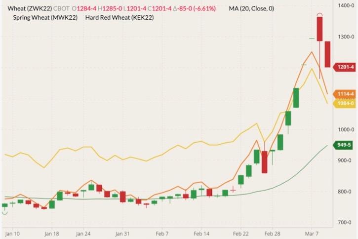CBOT May 2022 wheat (candlesticks) with 20-day moving average (green line), MGEX May 2022 spring wheat (yellow line) and K.C. May 2022 hard red wheat (orange line). (Barchart)
