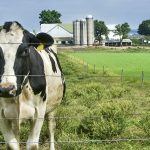 “This (supply management) is very different from a direct payment to farmers,” says Ryan Cardwell. “It’s hard to understand.”