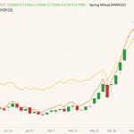 CBOT May 2022 wheat (candlesticks) with MGEX May 2022 spring wheat (yellow line) and K.C. May 2022 hard red wheat (orange line). (Barchart)
