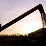 Ukraine still has a good deal of its 2021 corn crop to ship and Russia has yet to plant 30 per cent of its 2022 wheat crop.