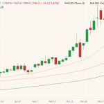 CBOT May 2022 corn (candlesticks) with 20-, 50- and 100-day moving averages (yellow, orange and green lines). (Barchart)
