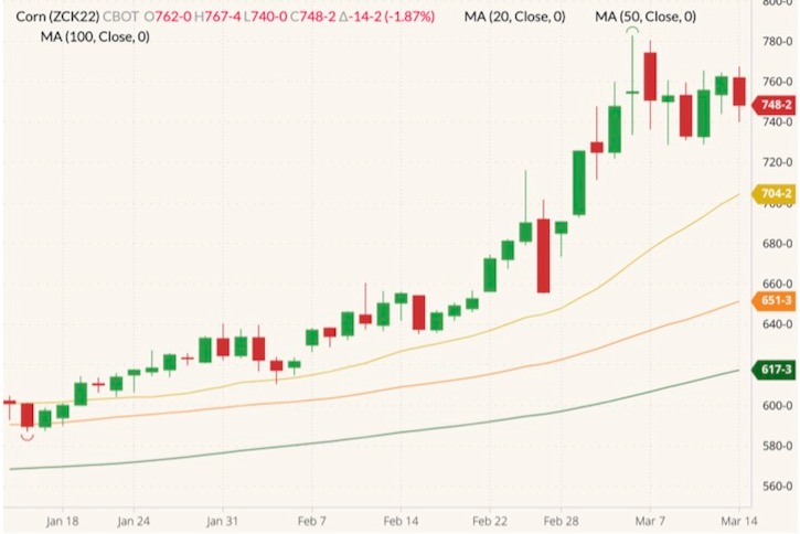 CBOT May 2022 corn (candlesticks) with 20-, 50- and 100-day moving averages (yellow, orange and green lines). (Barchart)
