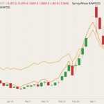 CBOT May 2022 wheat (candlesticks) with MGEX May 2022 spring wheat (yellow line) and K.C. May 2022 hard red wheat (orange line). (Barchart)
