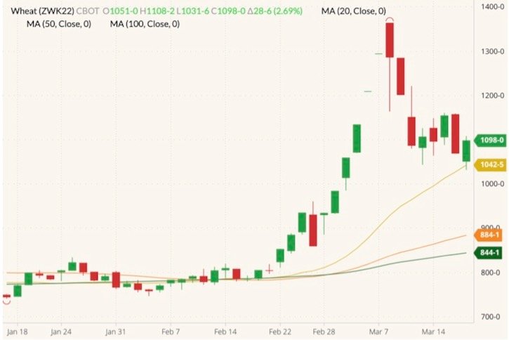 CBOT May 2022 wheat (candlesticks) with 20-, 50- and 100-day moving averages (yellow, orange and dark green lines). (Barchart)
