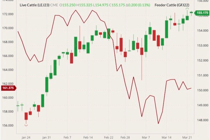 CME April 2023 live cattle (candlesticks, right column) with CME April 2022 feeder cattle (dark red line, left column). (Barchart)
