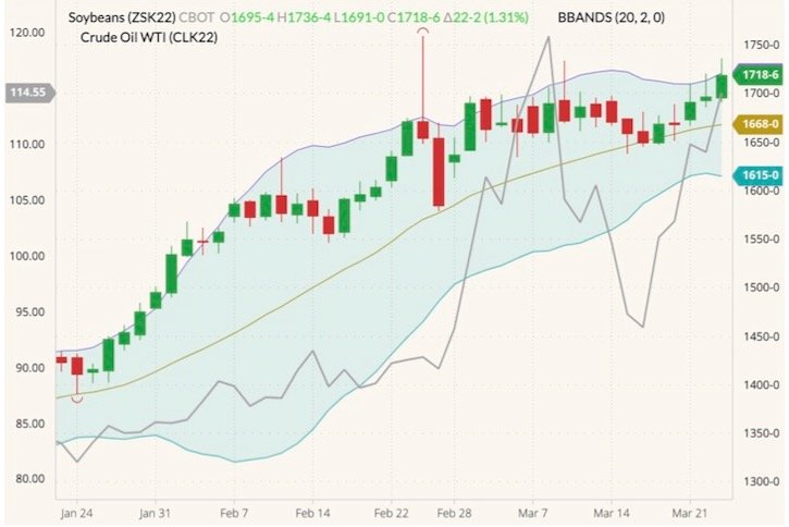 CBOT May 2022 soybeans (candlesticks, right column) with Bollinger bands (20,2) and NYMEX May 2022 West Texas Intermediate (WTI) crude (grey line, left column). (Barchart)
