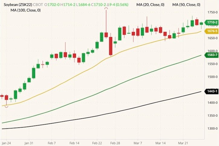 CBOT May 2022 soybeans (candlesticks) with 20-, 50- and 100-day moving averages (yellow, dark green and black lines). (Barchart)
