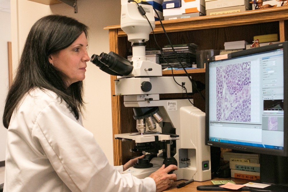 File photo of a U.S. veterinary medical officer examining tissue samples for avian influenza virus. (Suzanne Deblois photo courtesy ARS/USDA)
