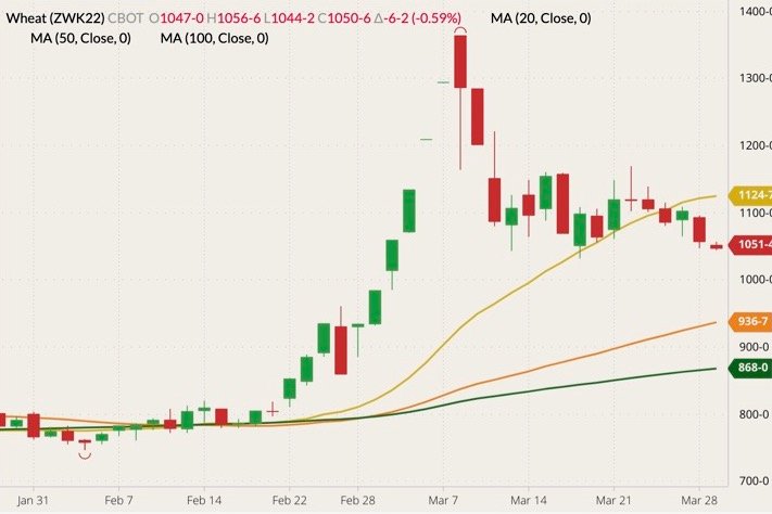 CBOT May 2022 wheat (candlesticks) with 20-, 50- and 100-day moving averages (yellow, orange and dark green lines). (Barchart)
