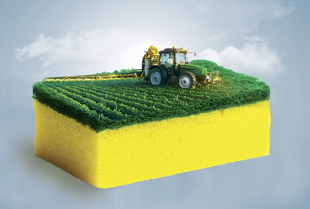 Soil compaction can wring out your soil’s sponge ability.