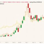 CBOT May 2022 wheat (candlesticks) with MGEX May 2022 spring wheat (yellow OHLC) and K.C. May 2022 hard red wheat (orange OHLC). (Barchart)
