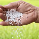 Farmers face a nutrient shortfall that could harm food security across the globe.