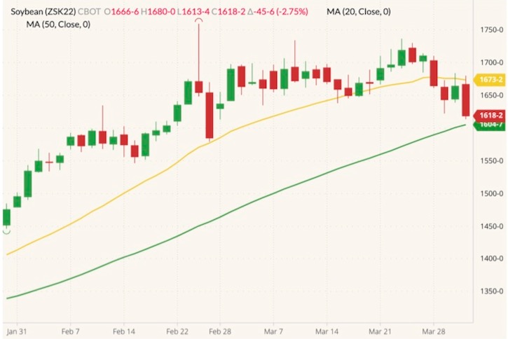 CBOT May 2022 soybeans (candlesticks) with 20- and 50-day moving averages (yellow and green lines). (Barchart)

