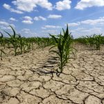 “Prolonged, persistent drought will continue to impact much of the West... “ – NOAA statement.