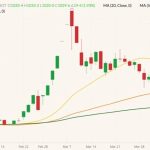 CBOT May 2022 wheat (candlesticks) with 20-, 50- and 100-day moving averages (yellow, orange and dark green lines). (Barchart)
