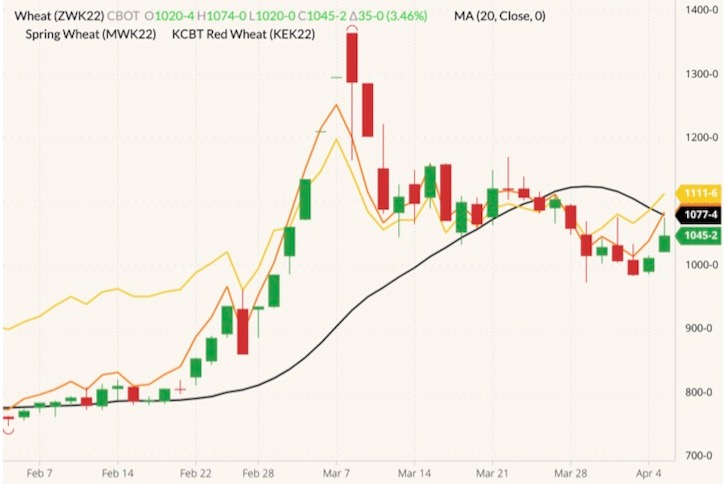 CBOT May 2022 wheat (candlesticks) with 20-day moving average (black line), MGEX May 2022 spring wheat (yellow line) and K.C. May 2022 hard red wheat (orange line). (Barchart)
