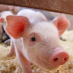 (Shadowinternet/E+/Getty Images)
