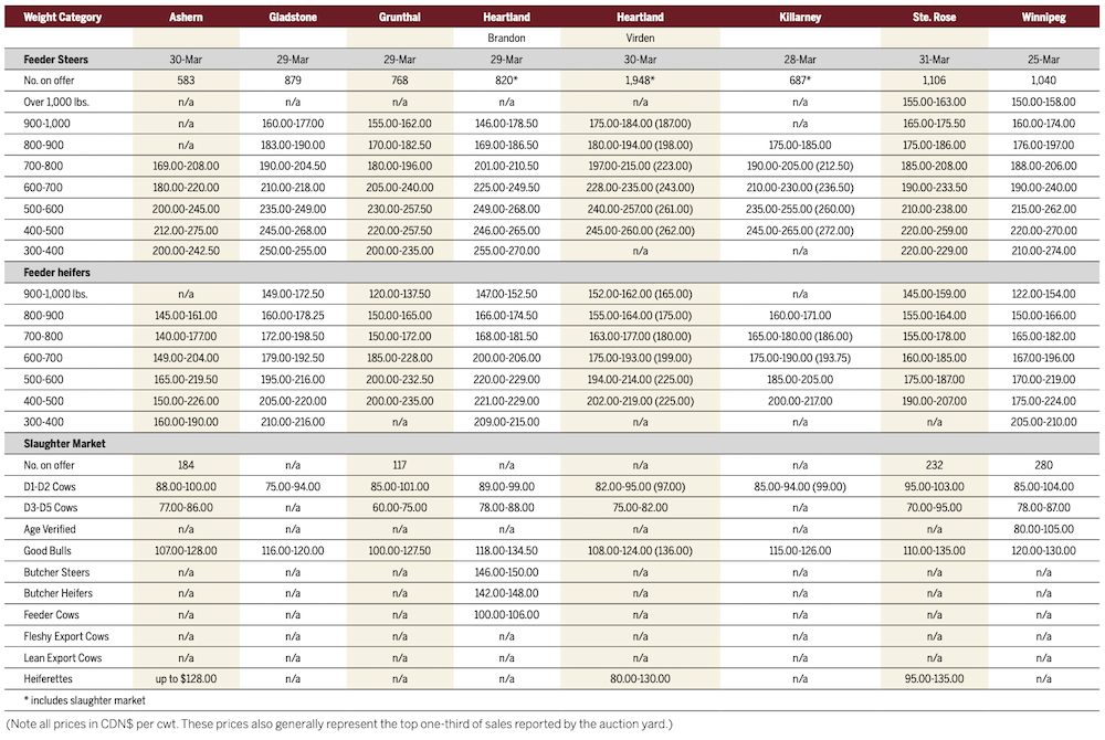 Feeder, butcher cattle in healthy demand