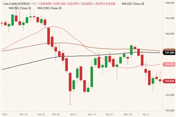 CME June 2022 live cattle (candlesticks) with 20-, 50- and 100-day moving averages (pink, brown and black lines). (Barchart)
