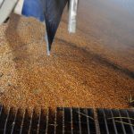 (RGtimeline/iStock/Getty Images)
