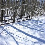 Extra livestock gates lie half buried after a series of snowfalls dropped over half a metre of snow from April 13-17 near Somerset.