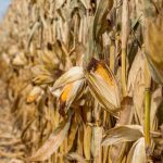 (JJ Gouin/iStock/Getty Images)
