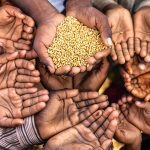 The UN says that the price of food could rise by up to 20 per cent as a result of the conflict in Ukraine, raising the risk of increased malnutrition.