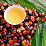 File photo of fresh palm fruits and palm oil. (Slpu9945/iStock/Getty Images)