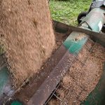 File photo of lentils being moved into bins in Saskatchewan. (Bobloblaw/iStock/Getty Images)
