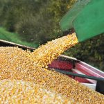 Ukraine is considered one of the big four corn suppliers along with the United States, Brazil and Argentina.