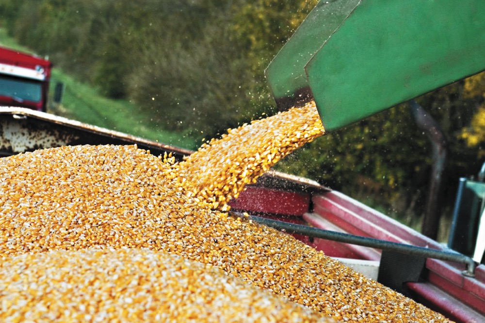 Ukraine is considered one of the big four corn suppliers along with the United States, Brazil and Argentina.