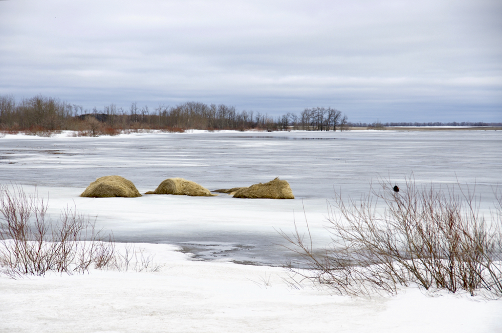 Water and ice from the remaining snowpack partly submerge bales along Highway 23 near Altamont May 2.