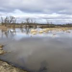 The Boyne River spills its banks north of Roseisle May 2, despite water levels declining from peaks over the weekend.