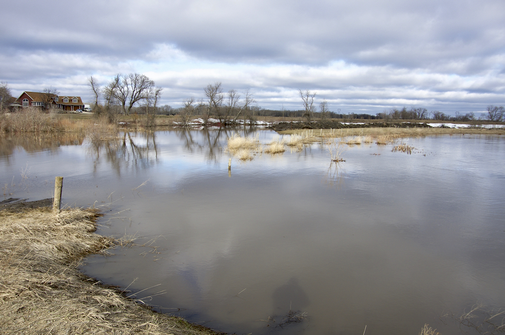 The Boyne River spills its banks north of Roseisle May 2, despite water levels declining from peaks over the weekend.